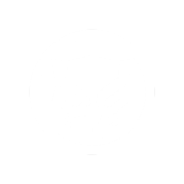 Black Panther Hero Logo
