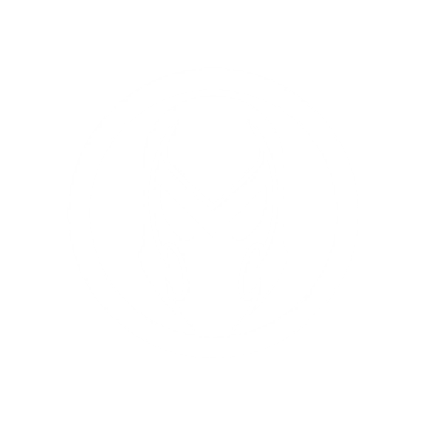 Magneto Hero Logo
