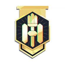 Honor S2 Gold