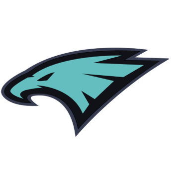 icon_league_team_22
