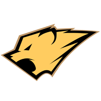 icon_league_team_36