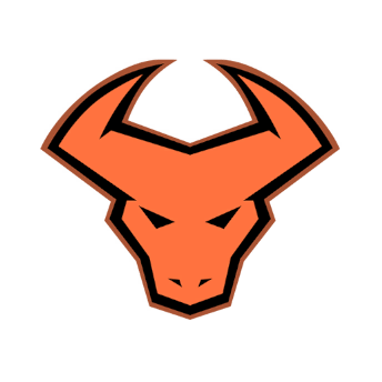 icon_league_team_37
