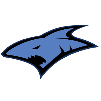 icon_league_team_38