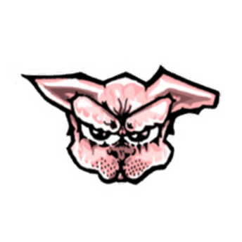 icon_league_team_shmng