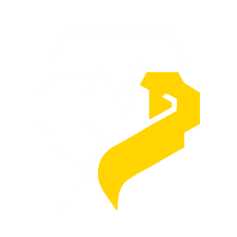 icon_league_team_tyg